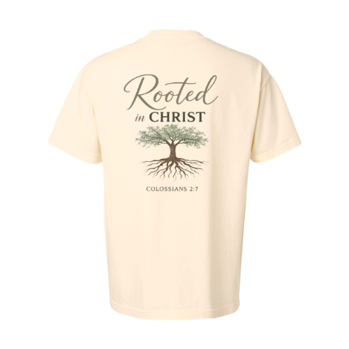 Oversized shirt (Rooted in Christ)