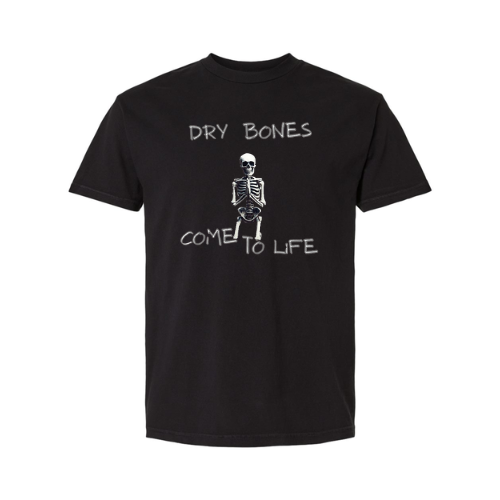 heavy weight tee (dry bones)