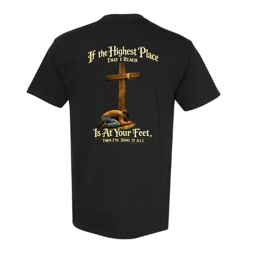 I've Done it all (light weight tee)